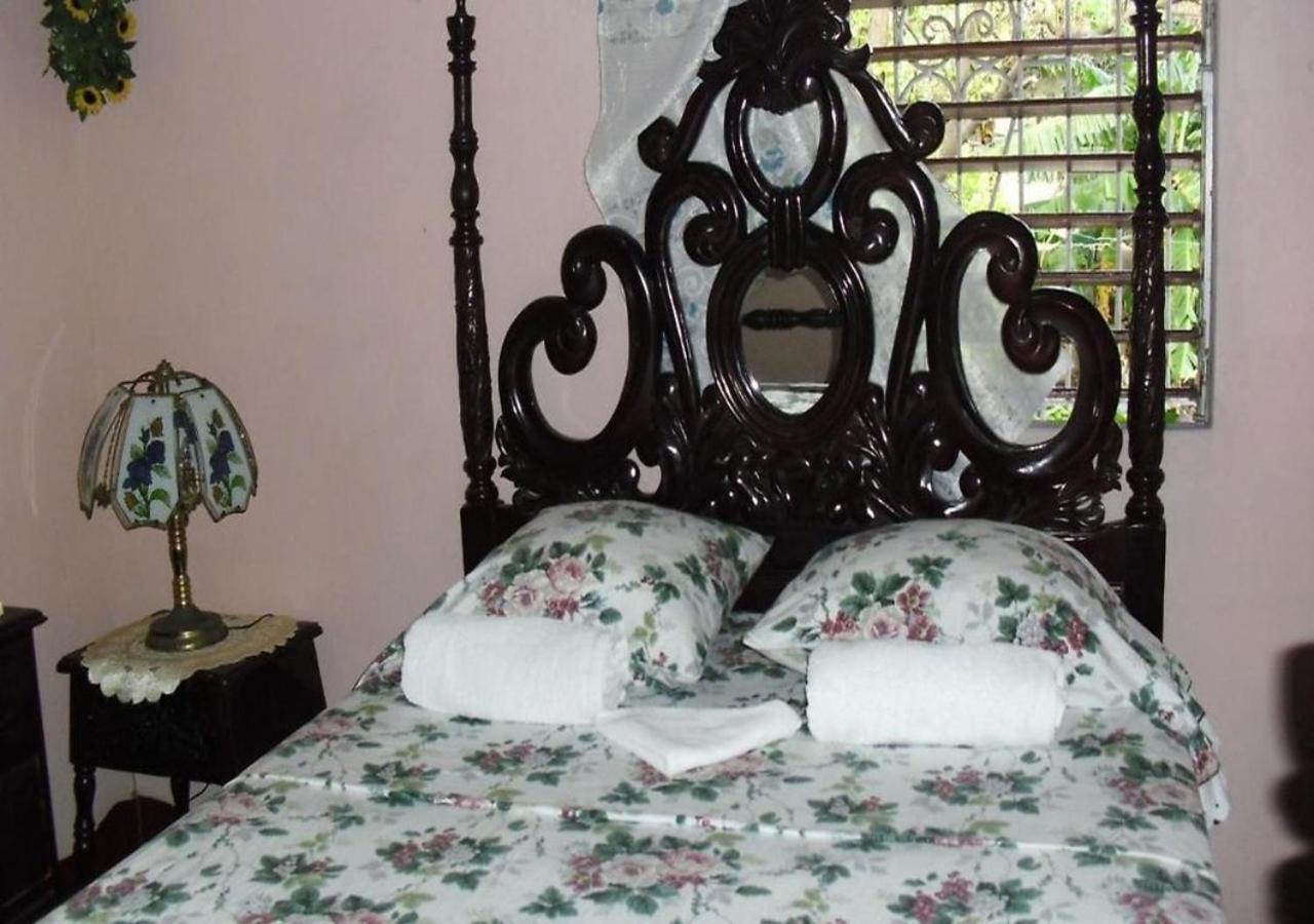 Kingston Airport Bed And Breakfast Экстерьер фото